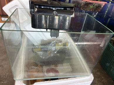 Aquarium Curve Tank