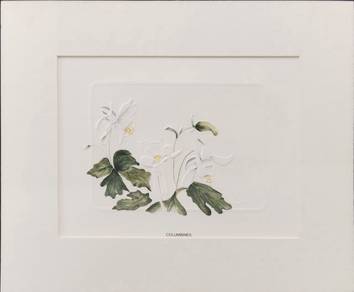 PromoRM100 – Embossed Botanical Art “Columbines”