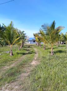 Agricultural Land in Ijok, SGR
