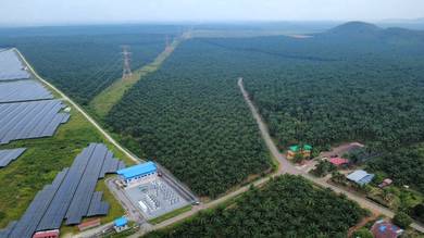 Agricultural Land in Sungai Petani, KDH
