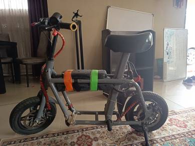 fiido electric bike