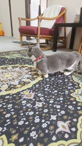 Mating Munchkin