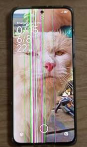 xiaomi 12 
