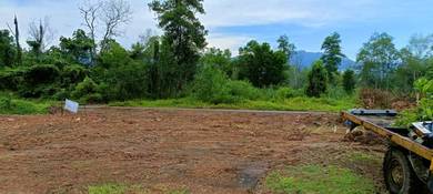Residential Land in Muadzam Shah, PHG