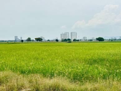 Agricultural Land in Permatang Pauh, PNG