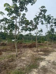 Agricultural Land in Rembau, NSN
