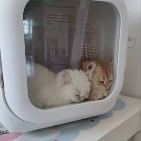 Pet Drying Box