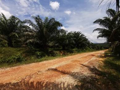 Agricultural Land in Kuantan, PHG
