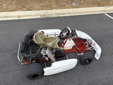 Rotax Max 125