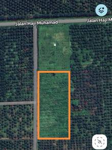 Agricultural Land in Kuala Selangor, SGR