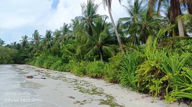 Mixed Development Land in Semporna, SBH