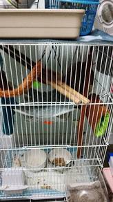 jual kerana mahu sambung belajar 