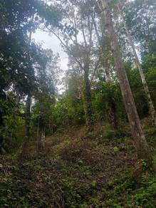 Others Land in Pendang, KDH