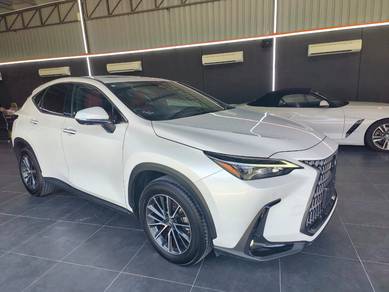 Lexus NX 250 LUXURY in Old Klang Road, KUL