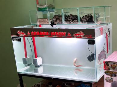 Aquarium + Top Filter Kaca
