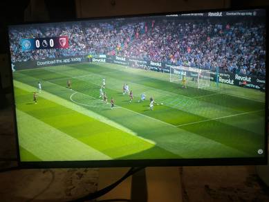 Dell P2422H 24" FHD IPS Professional Monitor