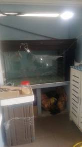 used 5ft aquarium 