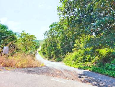 Agricultural Land in Segamat, JHR