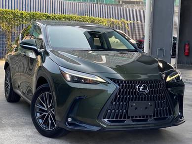 Lexus NX 250 BASE GRADE in Chan Sow Lin, KUL