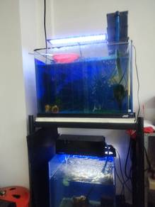 full set aquarium tank 