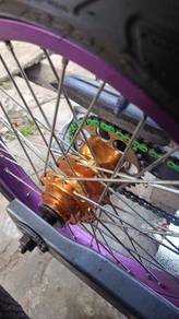 aloi  purple 