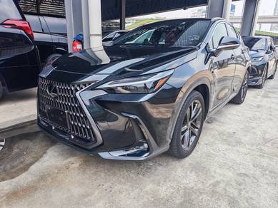Lexus NX 250 LUXURY in Chan Sow Lin, KUL