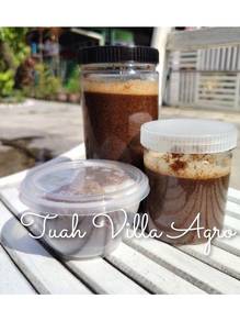 Kerisik Kelapa Kampung Wangi Semerbak