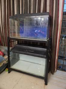 aquarium 