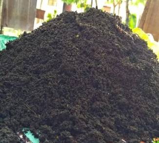 tahi cacing baja cacing20kg x2pack