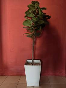 Fake plant