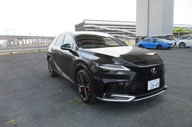 Lexus RX 350 F Sport F SPORT in Glenmarie, SGR