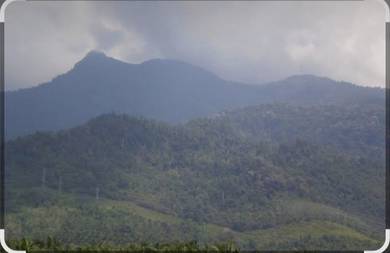 Commercial Land in Yan, KDH