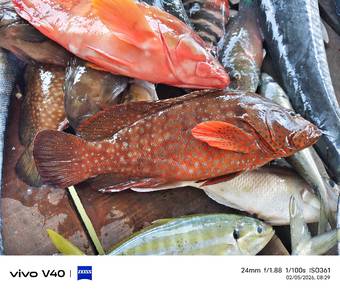 Trip memancing Laut dalam