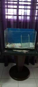 Aquarium 