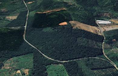 Agricultural Land in Kupang, KDH