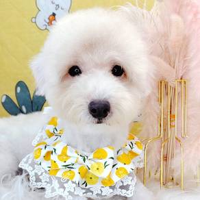 Poodle Toy