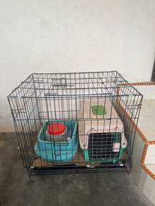 Sangkar & cat litter box