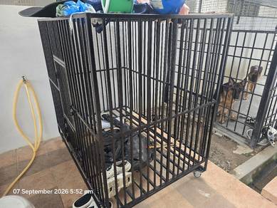 dog cage