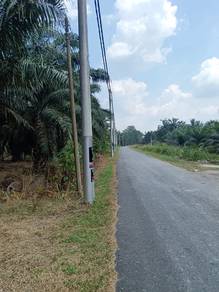 Agricultural Land in Parit Raja, JHR