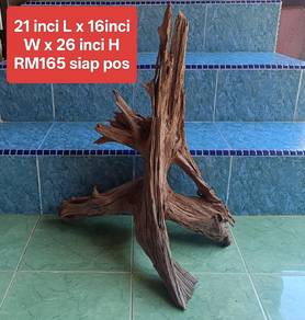 driftwood akar kayu hiasan aquarium 5kaki