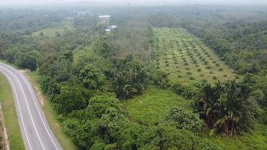 Agricultural Land in Kuala Ketil, KDH