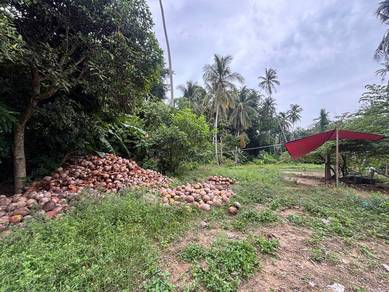Others Land in Kota Bharu, KTN