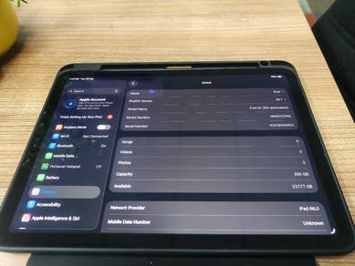 ipad Air 5th Gen Cellular 256gb