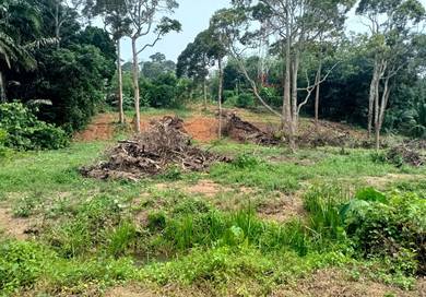 Agricultural Land in Segamat, JHR