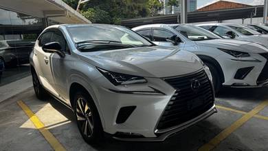 2021 Lexus NX 300 PREMIUM
