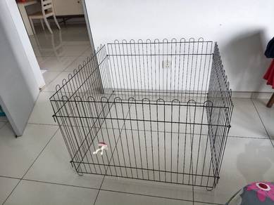 Play pet for pets