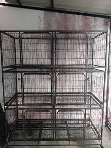 Sangkar kucing 