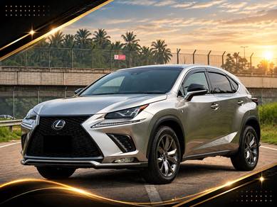 2019 Lexus NX 300 F SPORT