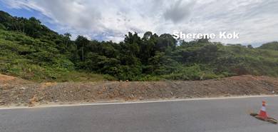 Agricultural Land in Kuching, SWK