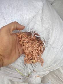 Habuk kayu kasar 7477